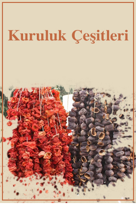 kuruluk-cesitleri.png (182 KB)