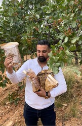  - efsane 5li 3.750 gram